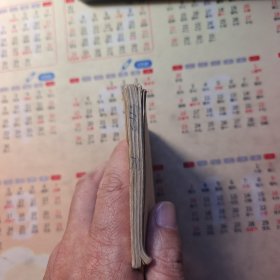 连环画：抗金凯旋（说岳全传之八）