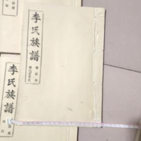 李氏族谱 追远堂【山东钜野城】十三卷线装本【在家】重近9斤尺寸：290X200【在家】