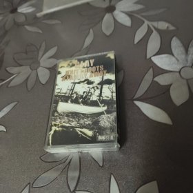 磁带 GLAY UNITY ROOTS&FAMILY，AWAY 老磁带