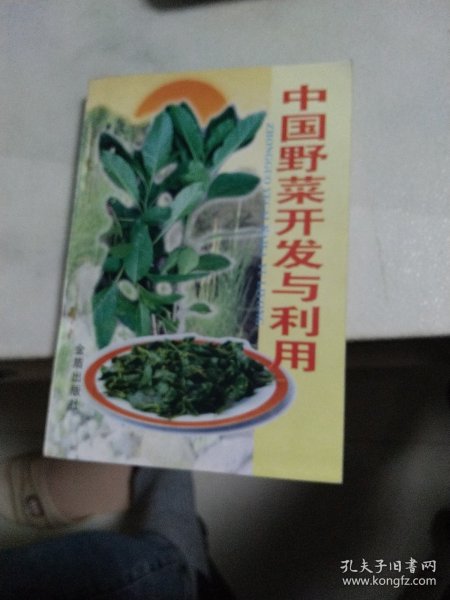 中国野菜开发与利用