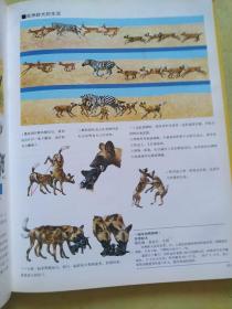 世界动物图鉴 8哺乳动物（二）