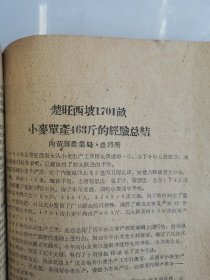 补图…老种子（96）《农业资料集》（12）《小麦生产情况》（6）河南省新乡专区小麦丰产经验：孟县、清丰县、104.5亩指挥田、浚县卫贤公社裴营青年小队、浚县巨桥公社、小河公社、沁阳县城关公社、百泉农专实习农场稻茬麦、阜城大队、内黄井店、安阳曲沟、马庄、沁阳西向公社青年试验场、濮阳县柳屯公社里信大队、封丘黄陵公社海庄大队、南乐县、洑阳县庆祖公社等