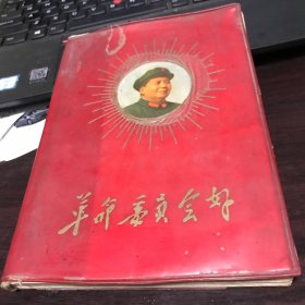 革命委员会好