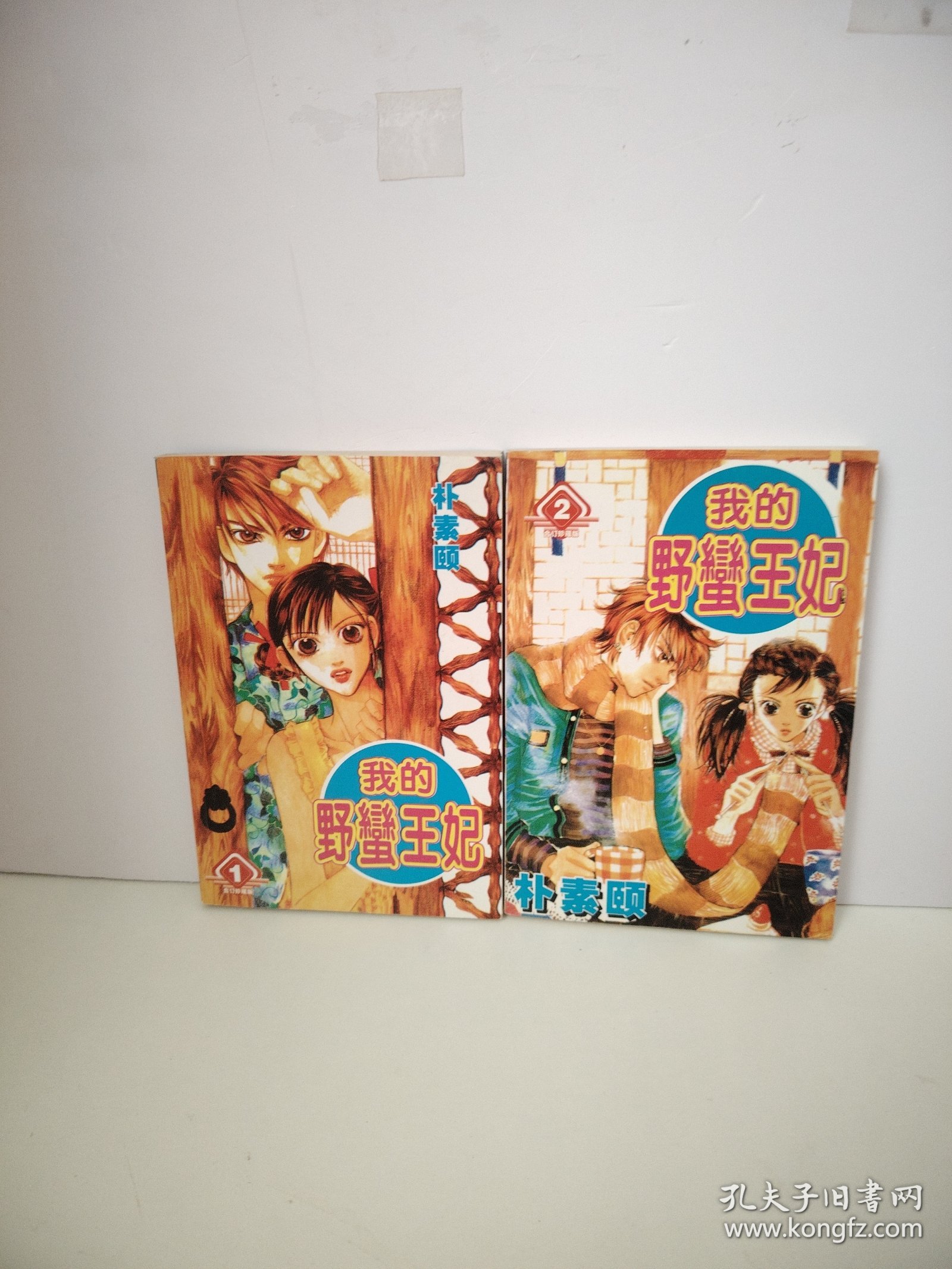 我的野 王妃 朴素熙