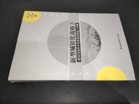 新型城镇化战略下：建设用地再开发政策的理论与实践