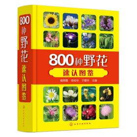 800种野花速认图鉴