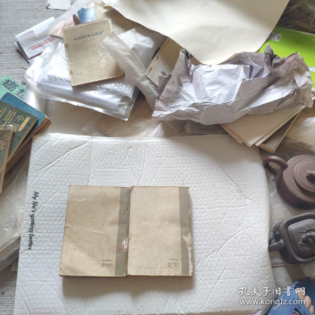 侍卫官杂记（上下）