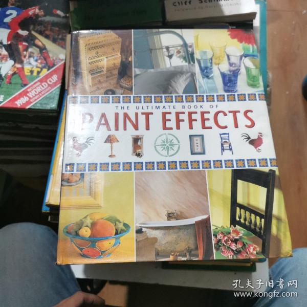The Ultimate Book of Paint Effects油漆效果终极之书