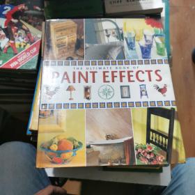 The Ultimate Book of Paint Effects油漆效果终极之书