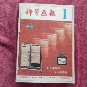 科学画报1981全年（12册合售）