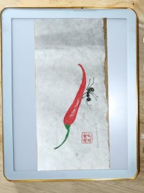 《红辣椒》图手绘