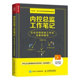 内控总监工作笔记企业内部控制工作法及案例解析