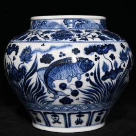 元青花鱼藻纹罐，高21cm直径26cm