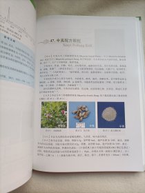 中药配方颗粒质量研究