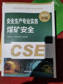 注册安全工程师2019教材煤矿安全专业实务全国中级注册安全工程师职业资格考试辅导教材2019版（二手）