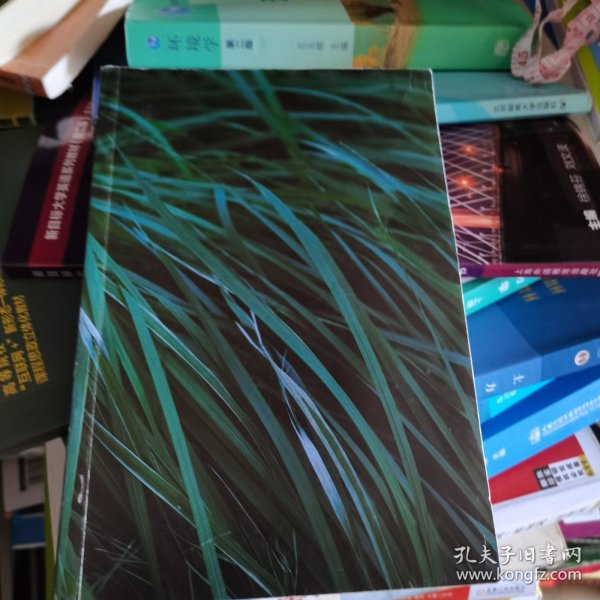刘同：我在未来等你