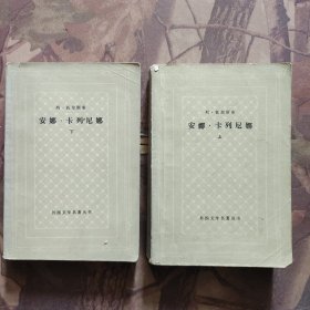 安娜 卡列尼娜（上下） 网格本