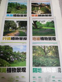植物造景丛书——行道植物景观、阴地植物景观、地被植物景观、芳香植物景观、 绿篱植物景观、水体植物景观(六册合售)
