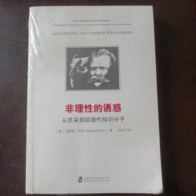 非理性的诱惑:从尼采到后现代知识分子