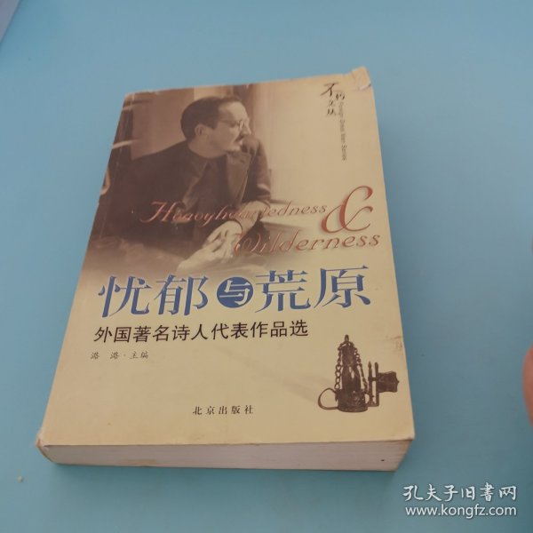 忧郁与荒原：外国著名诗人代表作品选