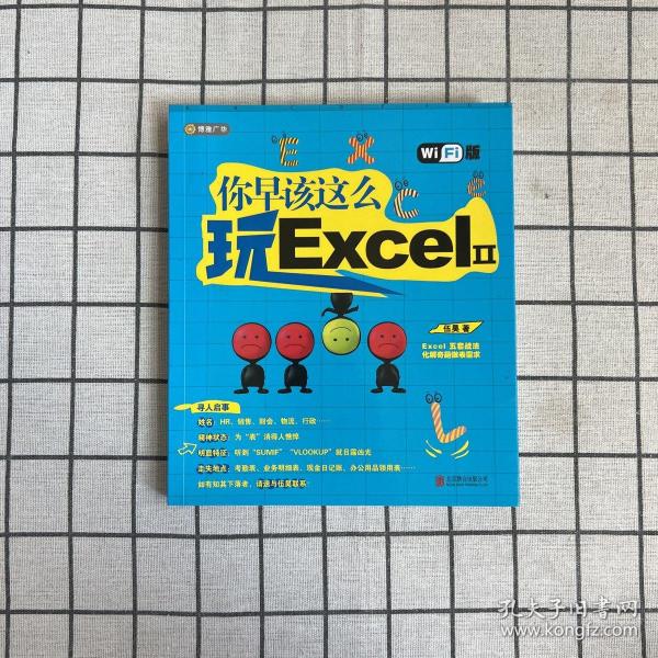 你早该这么玩Excel II （WiFi版）