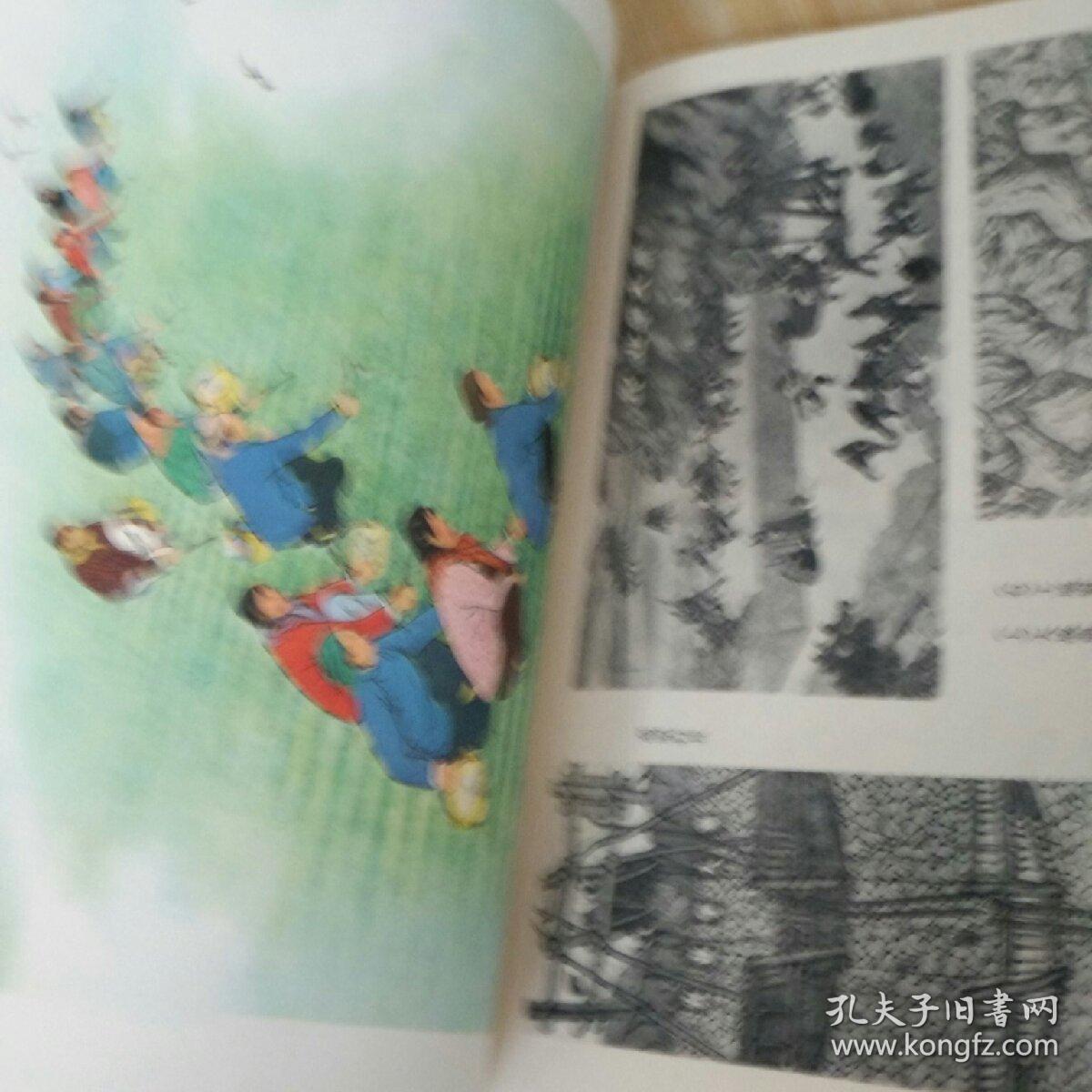 美术资料5     户县农民画专辑