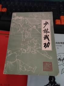 少林武功【是一本系统介绍少林派武术的综合性武术丛书。全书三十多万字，近二千幅武术套路插图。本书除介绍少林武功的历史源流和基本内容外，还着重介绍了南、北少林的各种武术套路，等。】【少林武功的历史源流及内容概述。拳法（附录；嵩山少林拳法要诀。..名词浅释）。刀、枪、剑、棍等器械术。