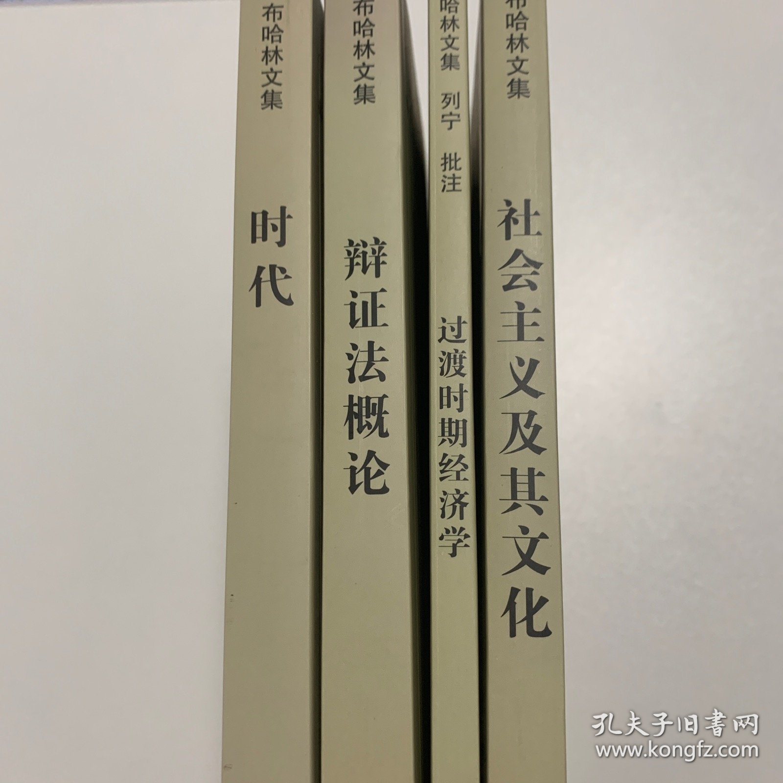 布哈林文集：《辩证法概论》《社会主义及其文化》《过渡时期经济学》《时代》四册全