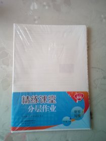 九年级上册世界历史精练课堂分层作业13-21课单元作业