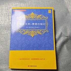 哈克贝利·费恩历险记