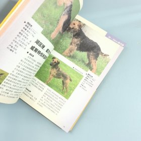 新编世界名犬438种（第2版）