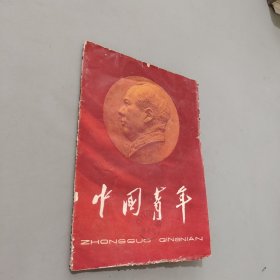 中国青年1963.13