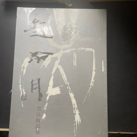 赵冷月书法精品集：纪念赵冷月诞辰一百周年书法精品集