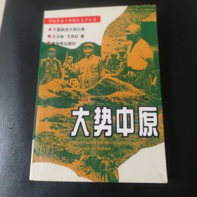 中国革命斗争报告文学丛书 大势中原