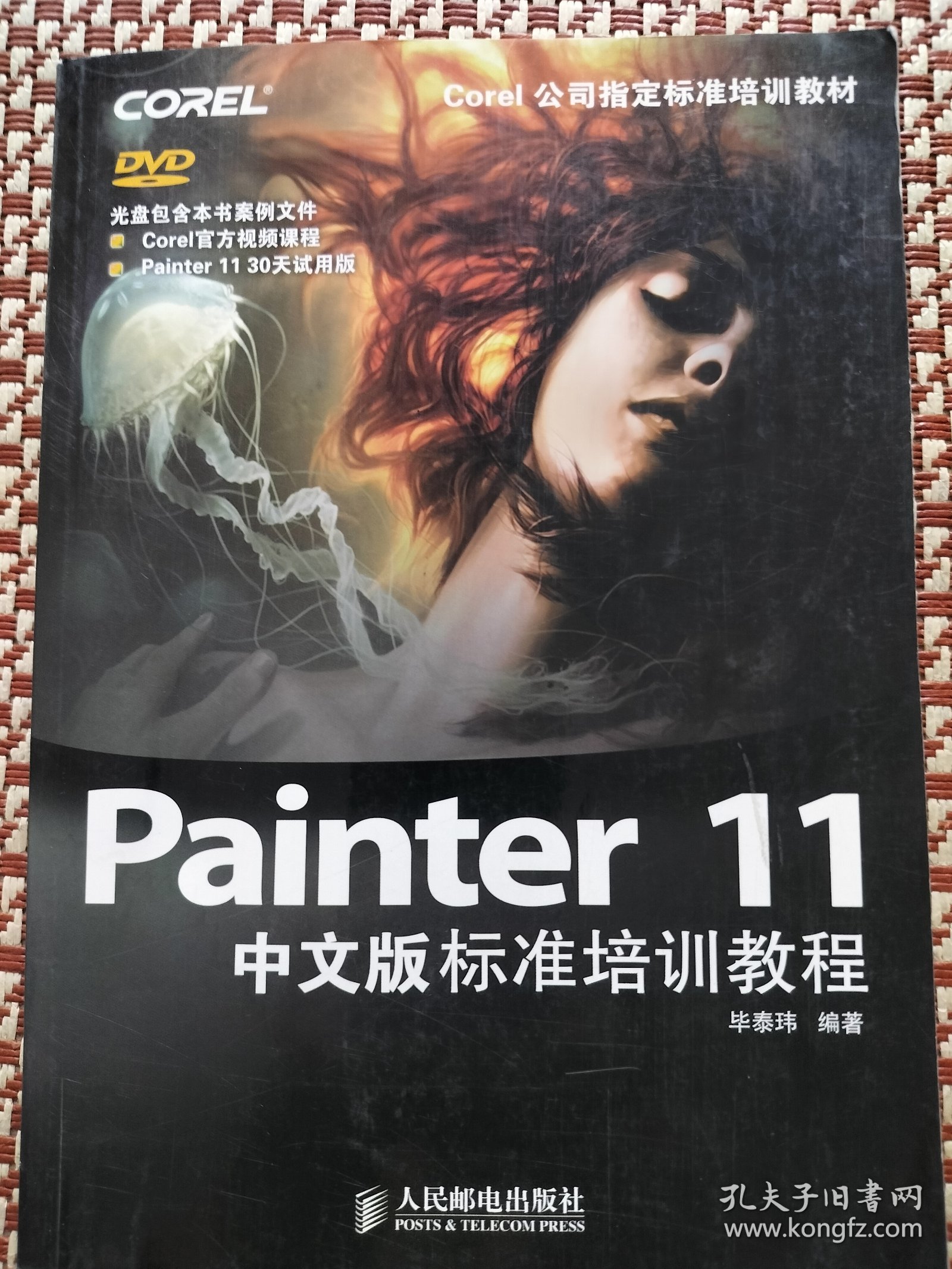 Painter 11中文版标准培训教程