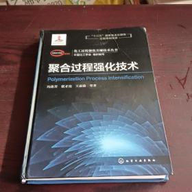 化工过程强化关键技术丛书--聚合过程强化技术