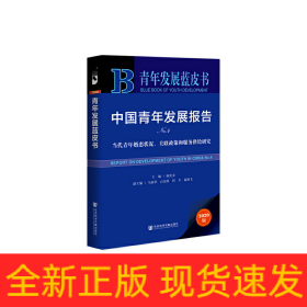青年发展蓝皮书：中国青年发展报告NO.4
