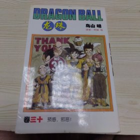 龙珠 卷三十 预感，邪恶！