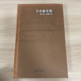 王小波全集第八卷