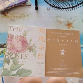 《玫瑰圣經(jīng)》圖譜解讀