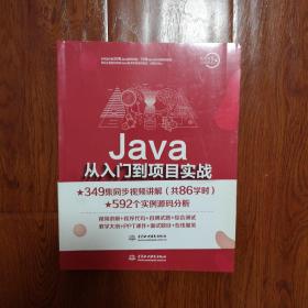 Java从入门到项目实战（全程视频版）