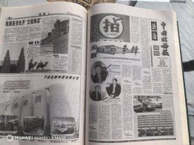 中国税务报 （1999年合订本） 下卷