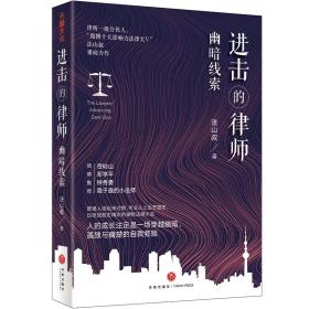 进击的律师 幽暗线索 中国现当代文学 法山叔