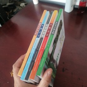 德宏少数民族文化系丽丛书 : ( 五册全)