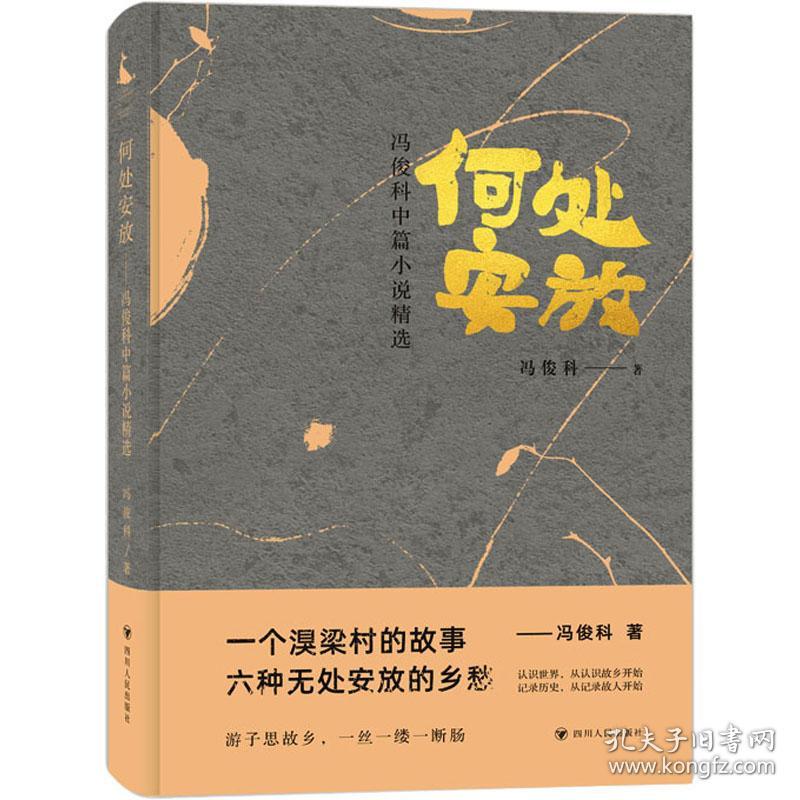 何处安放 冯俊科中篇小说精选 中国现当代文学 冯俊科 新华正版