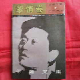 王朔文集 挚情卷（后页有点水印 见图）