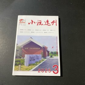 小说选刊 2025年 第3期总第478期 杂志
