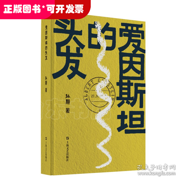 爱因斯坦的头发（孙颙奇思小说系列 —太史公笔法书写奇人奇事：一枚神秘邮票的寻觅之旅，一场战火之下的死里逃生）