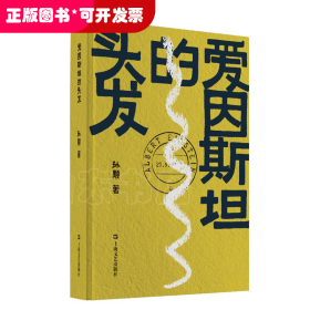 爱因斯坦的头发（孙颙奇思小说系列 —太史公笔法书写奇人奇事：一枚神秘邮票的寻觅之旅，一场战火之下的死里逃生）