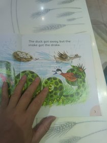 The Snake and the Drake蛇和公鸭